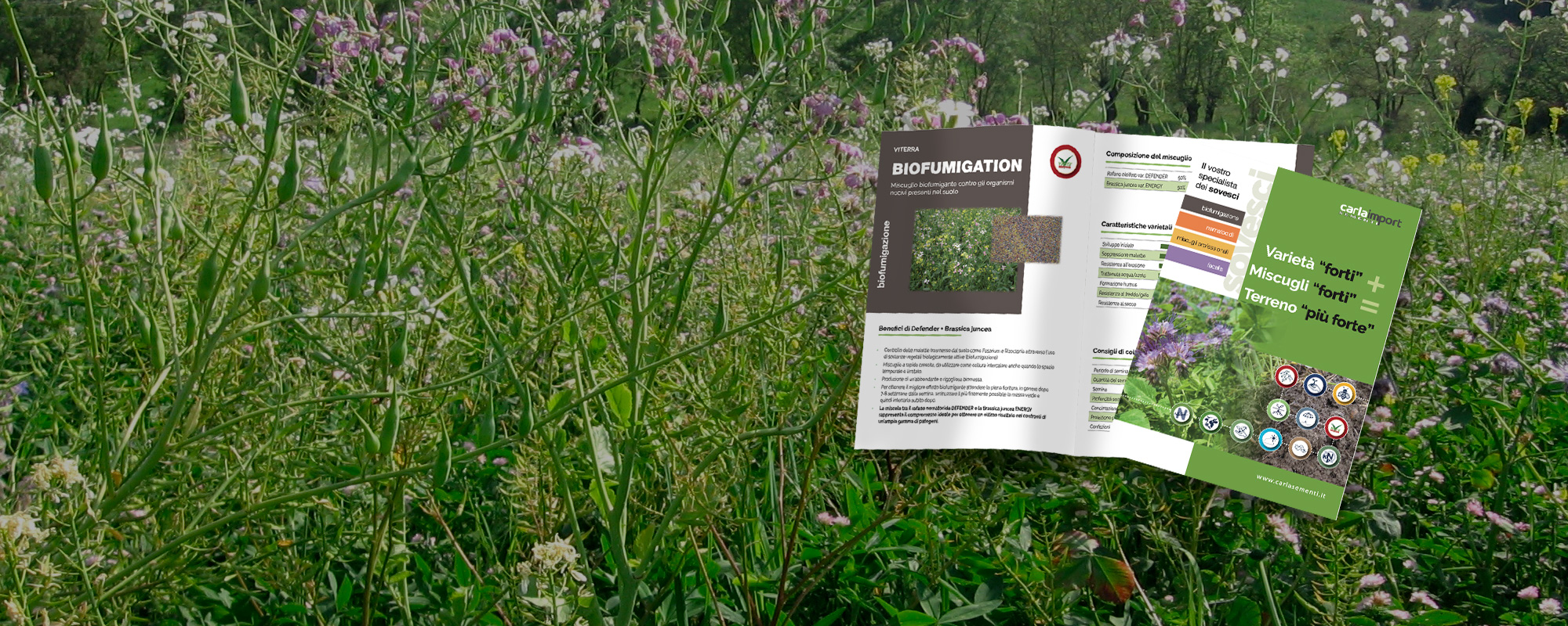 Sovesci biofumiganti